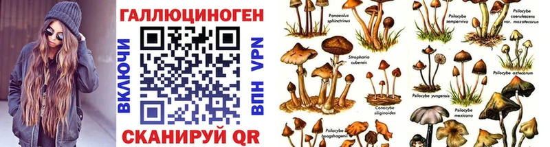 Галлюциногенные грибы Psilocybine cubensis  Северобайкальск 