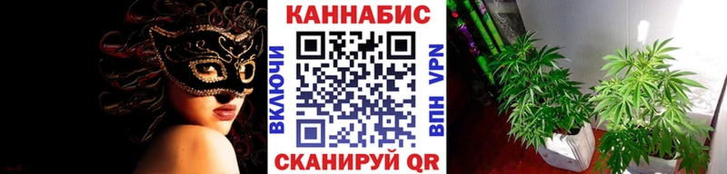 где купить наркоту  darknet телеграм  Канабис индика  Северобайкальск 